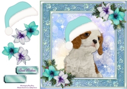 Adorable Cavalier With Blue Festive Hat 8x8