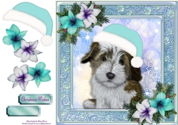 Adorable Fluffy Brown Dog With Blue Santa Hat 8x8