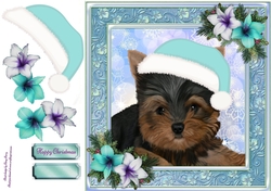 Adorable Yorkshire Terrier With Blue Santa Hat 8x8