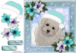 Adorable Bichon Frise With Blue Hat 8x8