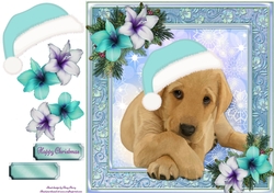 Adorable Golden Puppy With Blue Santa Hat 8x8