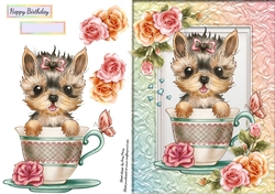 Gorgeous Yorkshire Terrier In A Cup
