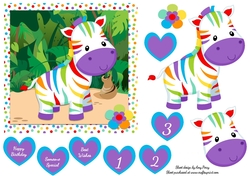 Colourful Zebra 6x6