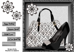 Beautiful Black & White Handbag With Black Satin Shoe 8x8
