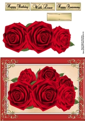 Beautiful Red Roses