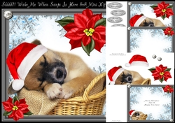 Sssshhh!! Wake Me When Santa Is Here 8x8 Mini Kit