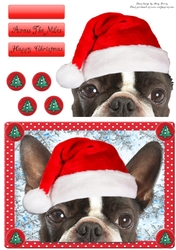 Festive French Bull Dog 