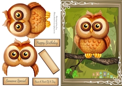 Gorgeous Brown Owl