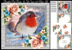 Beautiful Red Robin In The Snow 8x8 Mini Kit