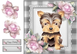 Yorkshire Terrier With Pale Pink Roses 8x8