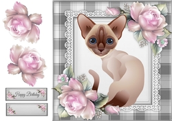Siamese Cat With Pink Roses 8x8