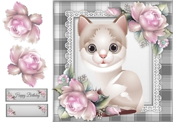 Adorable Grey & White Cat 8x8