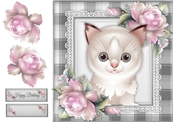 Cute Cream Cat 8x8