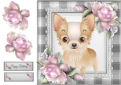 Gorgeous Honey Colored Chihuahua 8x8