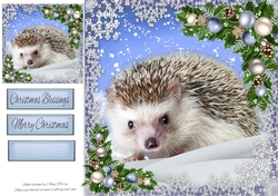 Adorable Hedgehog In The Snow 8x8