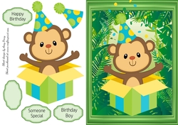 Monkey In A Present