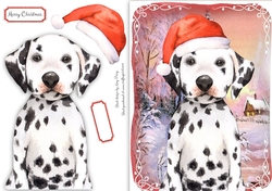 Festive Dalmation