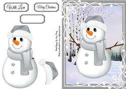 Adorable Silver Snowman