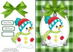 Gorgeous Snowman With Bobble Hat