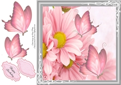 Beautiful Pink Flowers 8x8