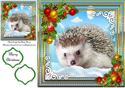 Beautiful Hedgehog in the snow 8x8