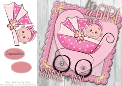 Baby Girl In Pram 8x8