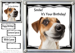 Smile! Its Your Birthday 8x8