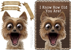 Shocked Dog