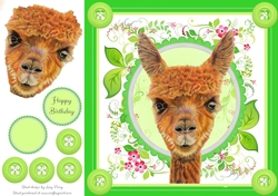 Gorgeous Alpaca 8x8