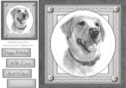 Beautiful Grey Golden Retriever 8x8
