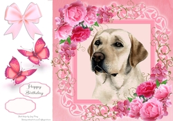 Gorgeous Labrador In Pink Roses 8x8