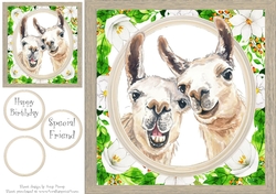 Cute Alpaca Friends 8x8