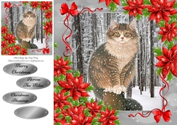 Gorgeous Grey Cat In The Snow 8x8