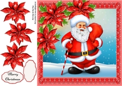 Gorgeous Santa With Red Poinsettias 8x8