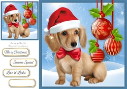 Gorgeous Dachshund Christmas Puppy 8x8