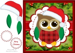 Gorgeous Christmas Owl With Santa Hat 8x8