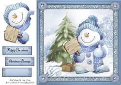 Gorgeous Snowman With Bobble Hat 2 8x8