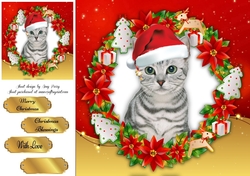 Gorgeous Grey Kitten In Santa Hat 8x8