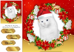 Gorgeous White Cat In Santa Hat 8x8