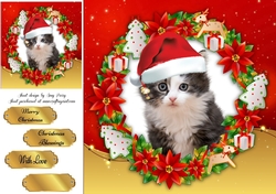 Gorgeous Gray And White Kitten In Santa Hat 8x8
