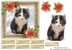 Gorgeous Grey & White Kitten Christmas 6x6