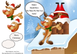 Think I Should Have The Mince Pie This Year Santa! Humor 8x8