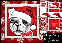 Gorgeous White French Bull Dog  8x8 Mini Kit