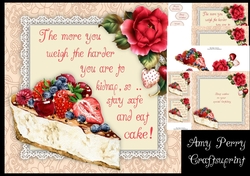 Birthday Cake Humor 2 8x8 Mini Kit