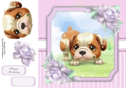 Gorgeous Brown & White Dog 8x8