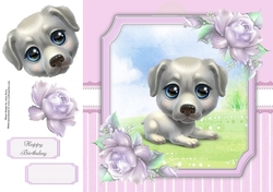 Gorgeous White Dog 8x8