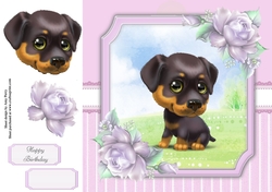 Gorgeous Black & Brown Dog 8x8