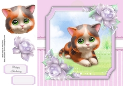 Gorgeous Multicolored Cat 8x8