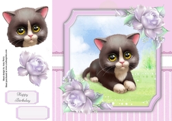 Gorgeous Black Cat 8x8