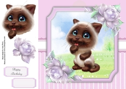 Gorgeous Siamese Cat 8x8